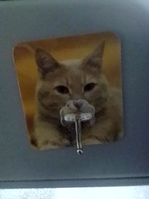 Slightly tilted bag hanger at my local cat shelter, featuring a cat with a satisfied look on its face. It hangs at the main entrance, waiting for me, and I wait for it, too.